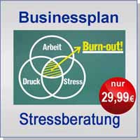 Businessplan Stressberater