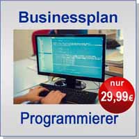 Businessplan Programmierer